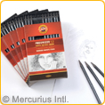 Holzfreier Graphitstift Progresso - lackiert
